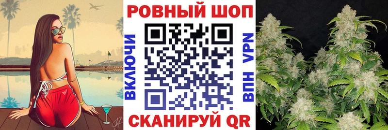 МЕФ Елизаветинская