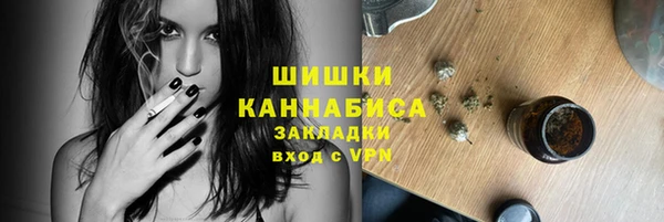 стафф Кодинск