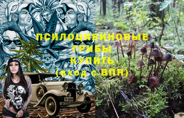 ALPHA PVP Козельск