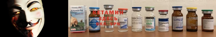стафф Кодинск