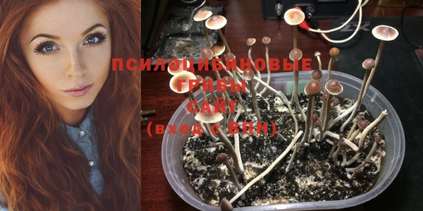 спайс Магадан