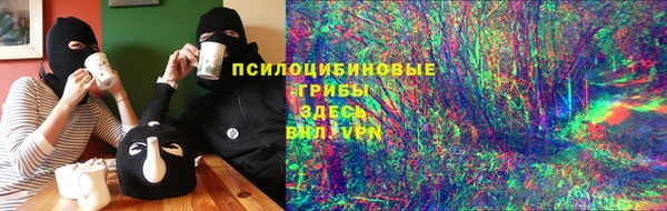 ALPHA PVP Козельск
