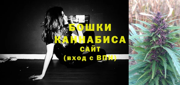 стафф Кодинск
