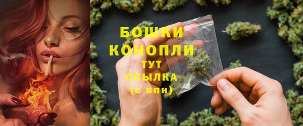 ALPHA PVP Козельск