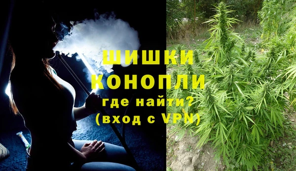 стафф Кодинск